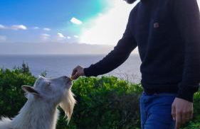 Quinta do Caminho da Igreja TER-Casas de Campo - Foto 16