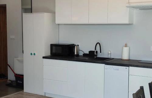 Apartamenty Wilga - spokojne miejsce z całorocznym zewnętrznym wspólnym jacuzzi, sauną i letnim basenem - Foto 31