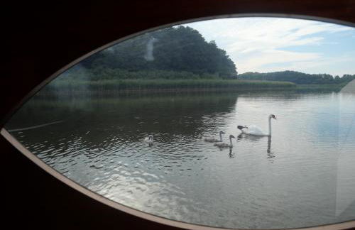 Lütt Hütt - Photo 15