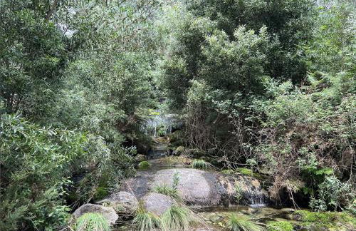 Casa da Arda, piscina exclusiva, entre mar e a montanha - Foto 41
