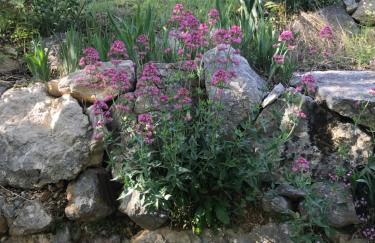 La Casa di Franco - Photo 4