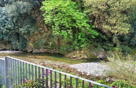 Nanin's Home - Foto 6