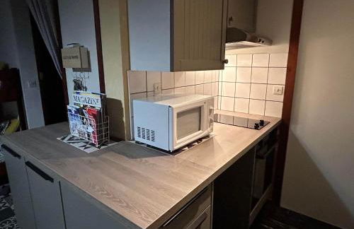 Studio 4 pers plein pied résidence Bero Bisto, face aux pistes - Foto 8