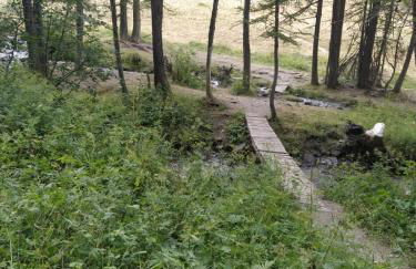 les chalets de puy st vincent - Foto 29