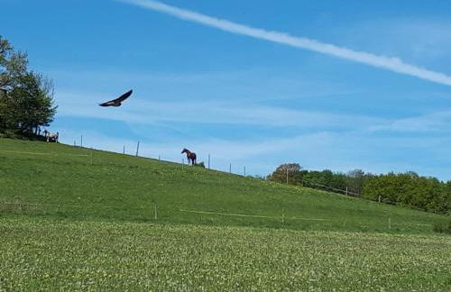 Ferienwohnung am Sorpesee - Foto 25