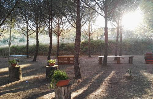 Dolce Vita - Foto 55