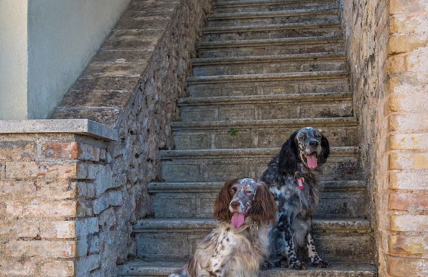 Setter House Agri Hotel - Foto 68