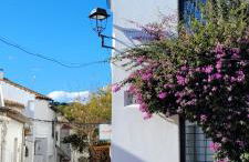 Apartamento con Jardín a 30 segundos de la playa - Foto 16