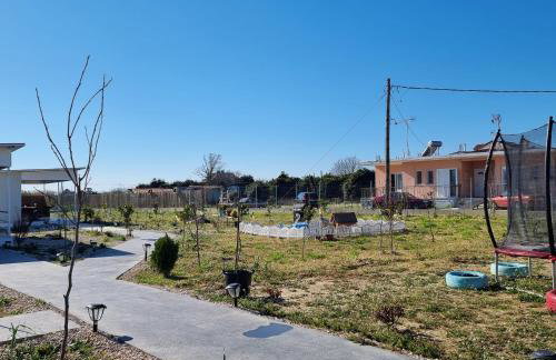 Agroktima Arta - Farm Stay - Foto 38