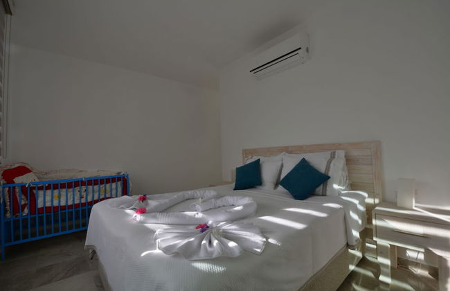 Light of Apollon - Foto 8