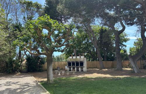 Les Trilles - Foto 39