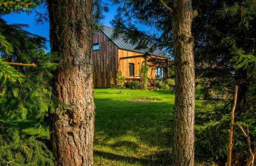 pod mazurskim niebem loft - Foto 51