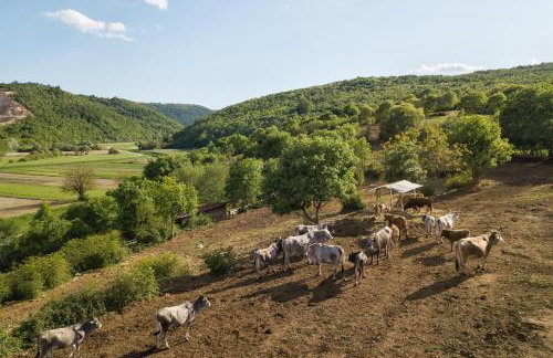 Villa Vesna with sauna, hot tub - Foto 28