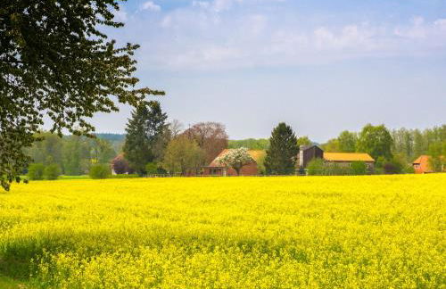Gästehaus Bleckmar - Foto 35