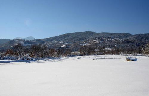 Anthemion - Photo 26