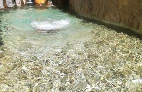 Saluda Alta - Foto 13