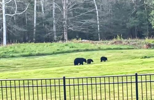 WOW New Spectacular Franconia Home - history - views - fire pit - hot tub - pool - grandeur - MUST SEE - Foto 8