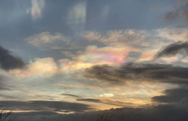 Álftártunga farm guesthouse - Foto 54