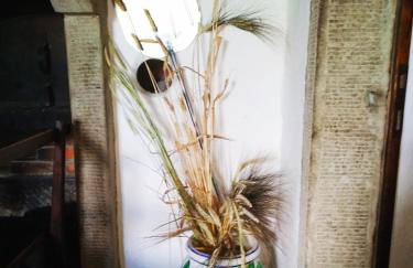 Agriturismo Borgo Ornina - Foto 58