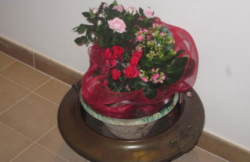 La Tavernetta Dell'Etna - Foto 50