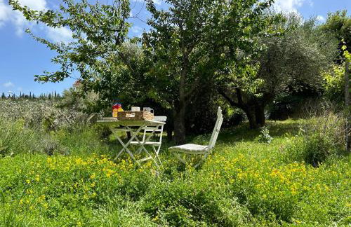 Casa Aldo nel cuore della Toscana - Foto 22