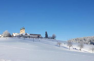 Feldbergblick - Foto 2