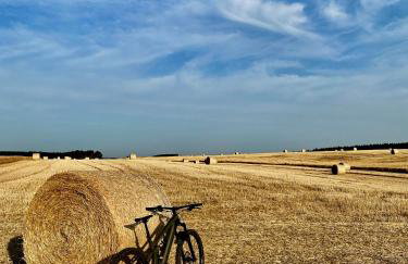 Wilcza Stodoła - Foto 31
