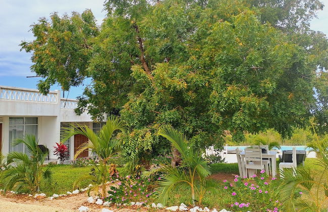 Cave Diani Studio Apartments - Foto 55