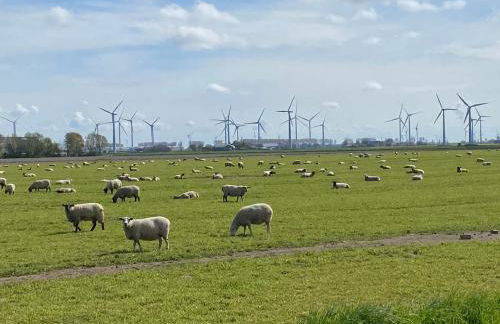 Appartement 1 mit Küche und neuem Bad, frisch saniert - Foto 10