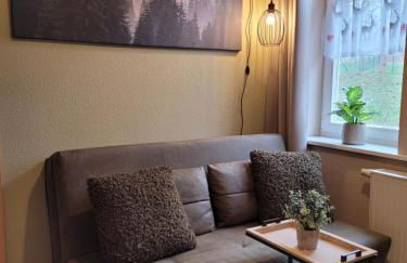 Apartments und Bistro Zum Glasmacher - Foto 104