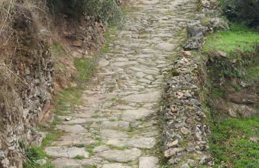 Quinta do Mineiro-Serra da Estrela - Foto 33