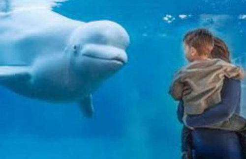 The Blair Durgin House in Mystic - Foto 44