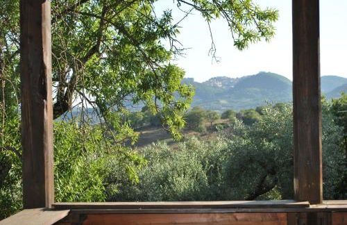 Azienda Agricola Biologica La Cardellina - Foto 71