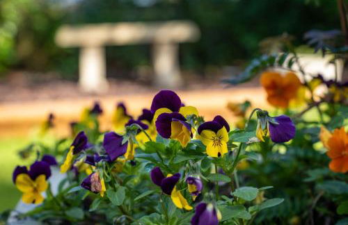 Finest Retreats - Rosebud Cottage - Foto 27