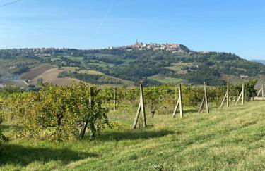 Colle Costanza - Foto 27