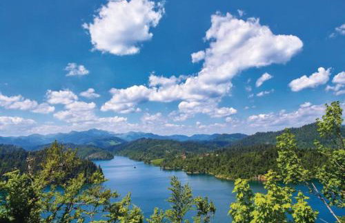 Villa Fužine by Interhome - Foto 31