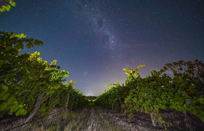 Furche Barossa Vineyard & Fireplace - Photo 21