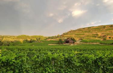 Ferienwohnung Alte Schmiede - Foto 23