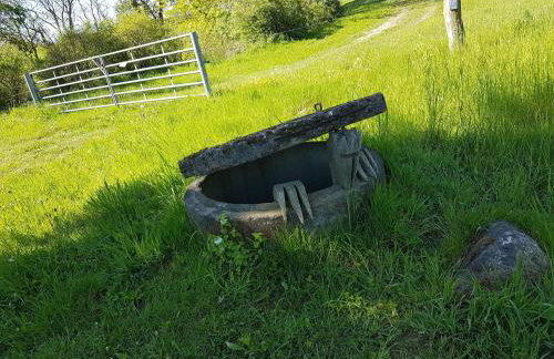 Ferienwohnungen am Malchiner See - Foto 12