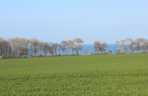 Ferienwohnungen am Museumshof - Foto 18