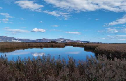 Agroturisme MAS CAN FONT - Foto 44