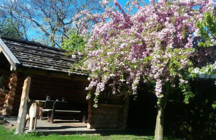 Kienasthof - Foto 21