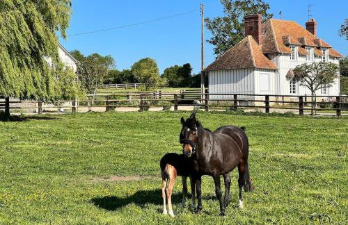 Gîte dans un petit haras - Foto 25