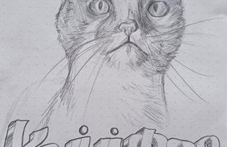 Gästehaus Casa Roca Fataga - Foto 41