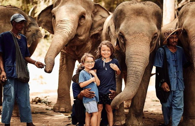 Santuario degli Elefanti Ethic - Tour di mezza giornata - Foto 6
