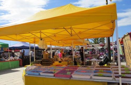 Appartement 4 Pers. en bord de mer avec parking privé et équipements complets - FR-1-529-41 - Foto 14