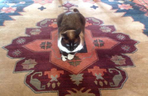 Casa da Ponte do Porto - Foto 66