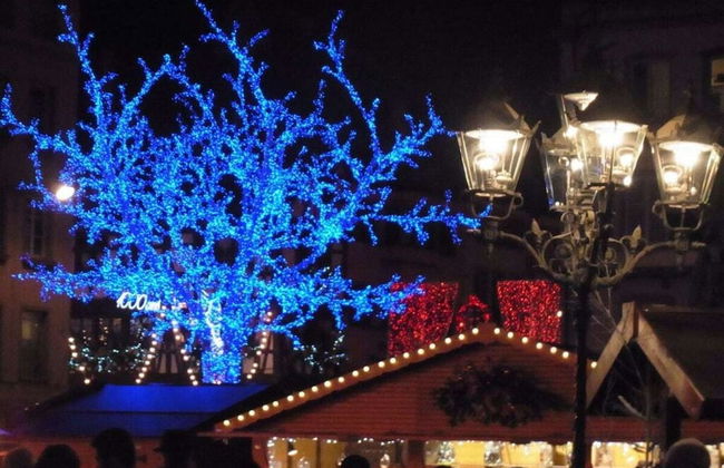 Pfaelzerleben - Foto 18