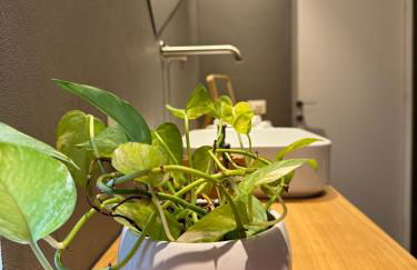 Residenza d'Artista al Conservatorio - Photo 19