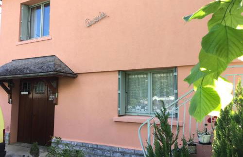 Appartement indépendant dans Villa Corisande - Foto 21